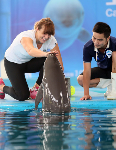 不僅增強了 不僅增強了