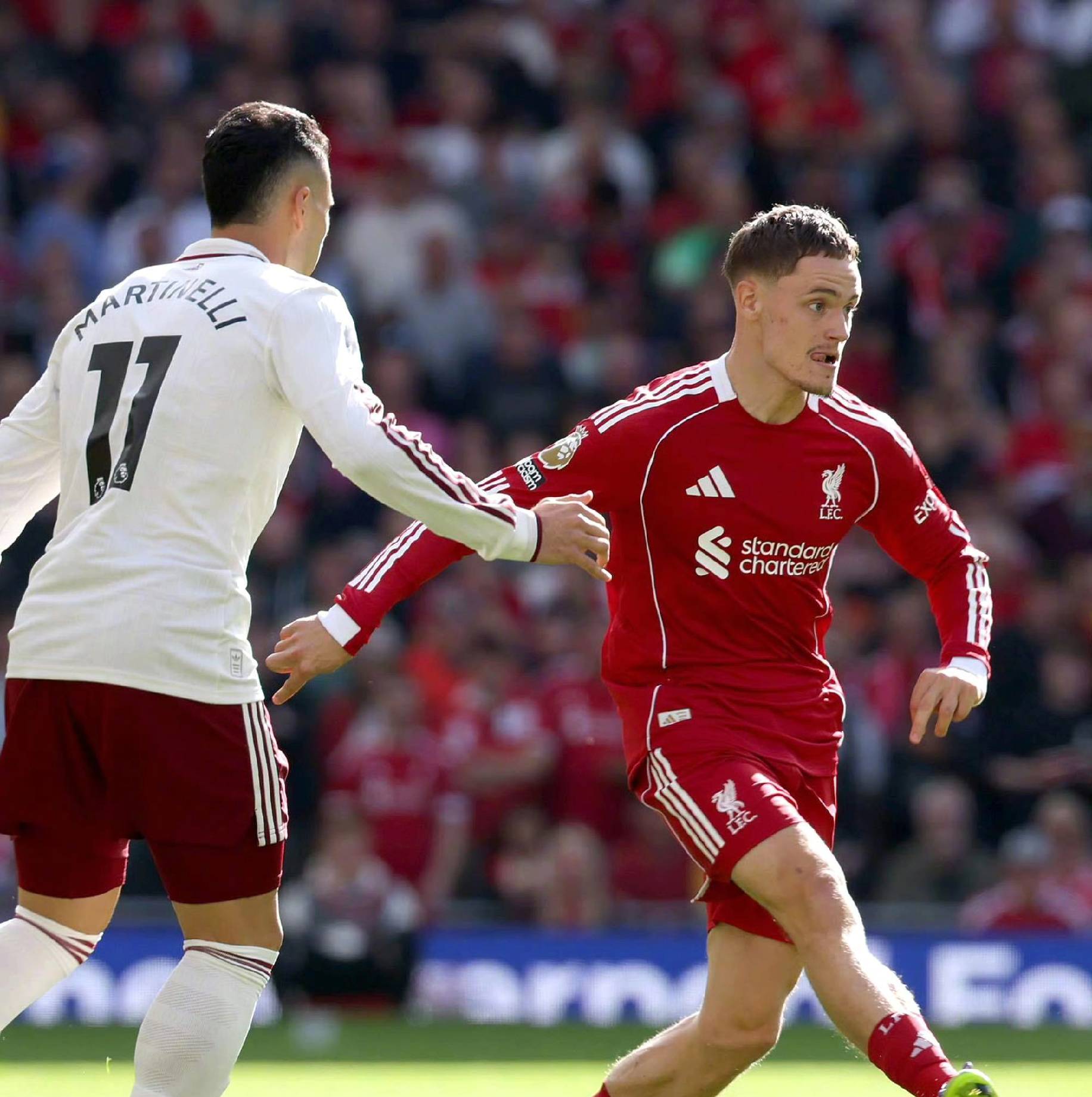 动不已的观 动不已的观