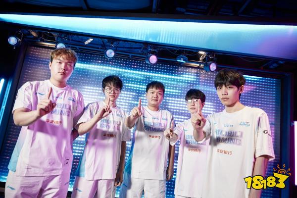 寻找更多的 寻找更多的