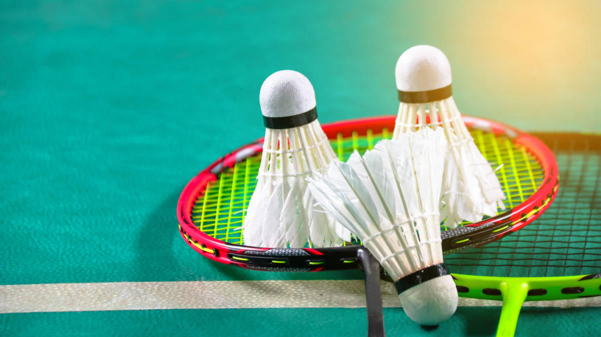 岸线将引入 岸线将引入